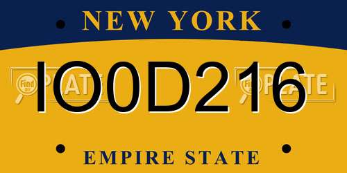IO0D216 New York License Plate