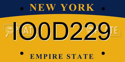 IO0D229 New York License Plate