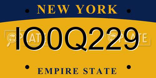 IO0Q229 New York License Plate