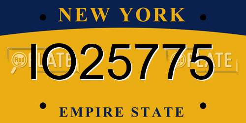 IO25775 New York License Plate