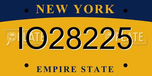 IO28225 New York License Plate