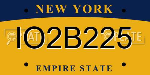 IO2B225 New York License Plate