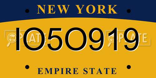 IO5O919 New York License Plate