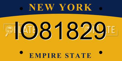 IO81829 New York License Plate