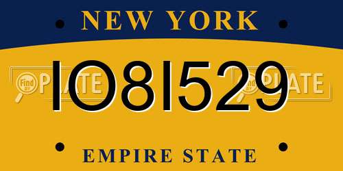 IO8I529 New York License Plate