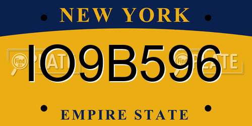 IO9B596 New York License Plate