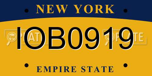 IOB0919 New York License Plate