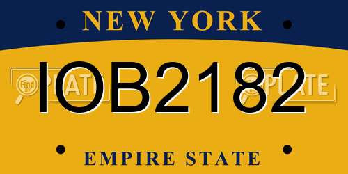 IOB2182 New York License Plate