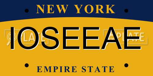 IOSEEAE New York License Plate