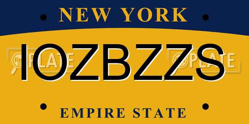 IOZBZZS New York License Plate