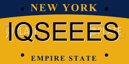 IQSEEES New York License Plate