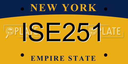 ISE251 New York License Plate