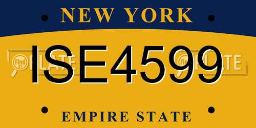 ISE4599 New York License Plate