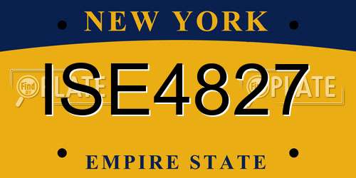 ISE4827 New York License Plate