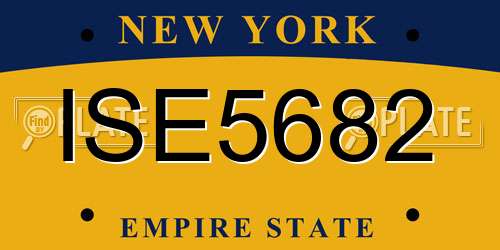 ISE5682 New York License Plate