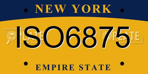 ISO6875 New York License Plate