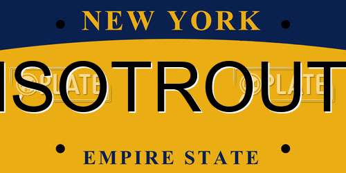 ISOTROUT New York License Plate