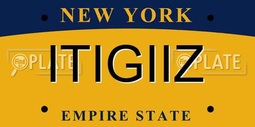 ITIGIIZ New York License Plate