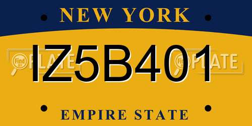 IZ5B401 New York License Plate