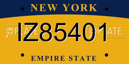 IZ85401 New York License Plate