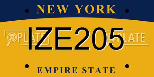 IZE205 New York License Plate