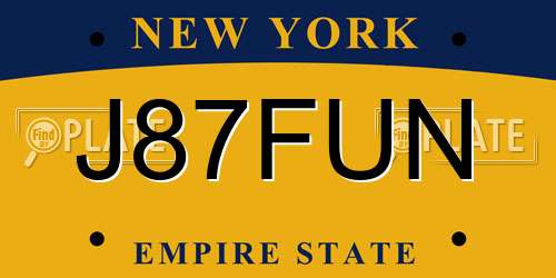 J87FUN New York License Plate