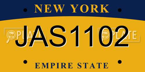JAS1102 New York License Plate