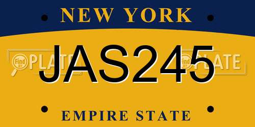 JAS245 New York License Plate