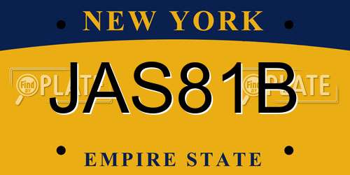 JAS81B New York License Plate