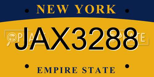 JAX3288 New York License Plate