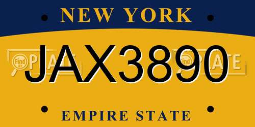 JAX3890 New York License Plate