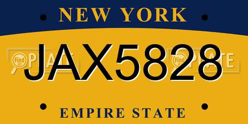 JAX5828 New York License Plate