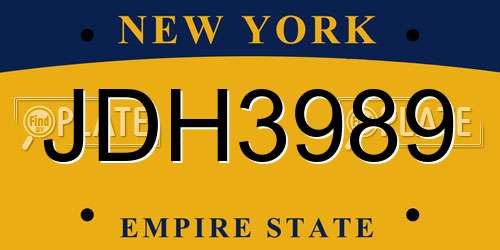 JDH3989 New York License Plate