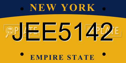 JEE5142 New York License Plate