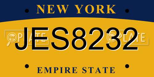 JES8232 New York License Plate