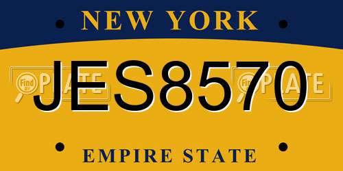 JES8570 New York License Plate