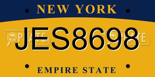 JES8698 New York License Plate