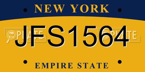 JFS1564 New York License Plate