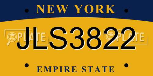 JLS3822 New York License Plate