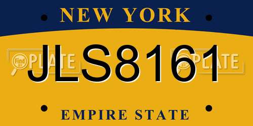 JLS8161 New York License Plate