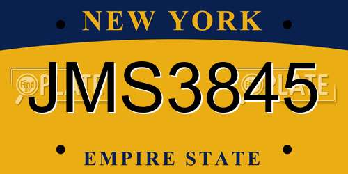 JMS3845 New York License Plate