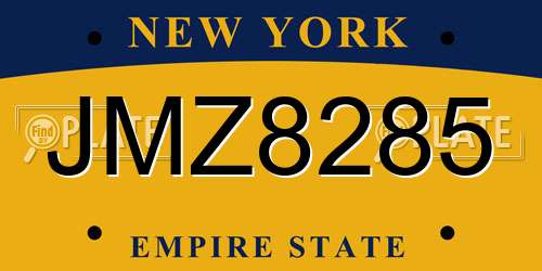 JMZ8285 New York License Plate