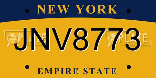 JNV8773 New York License Plate
