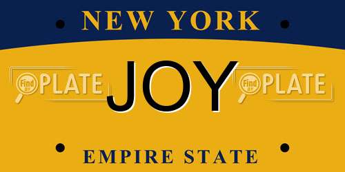 JOY New York License Plate