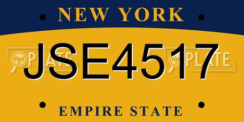 JSE4517 New York License Plate