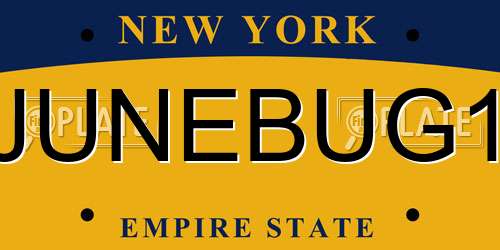 JUNEBUG1 New York License Plate
