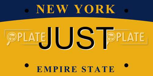 JUST New York License Plate