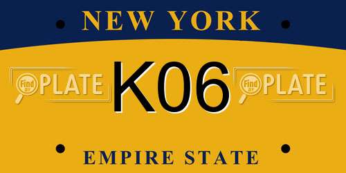 K06 New York License Plate