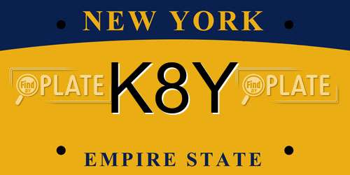 K8Y New York License Plate