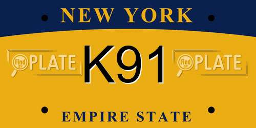 K91 New York License Plate